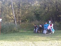 zloty lisc (31)